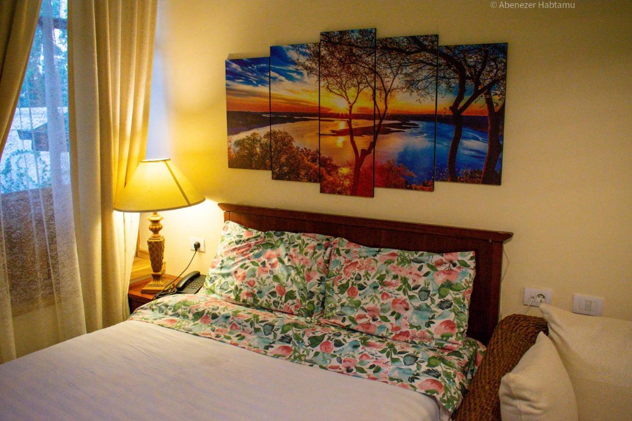 אדיס אבבה Choice Guest House 2 מראה חיצוני תמונה